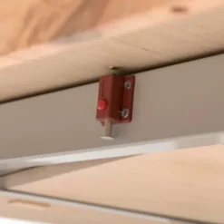 Mara